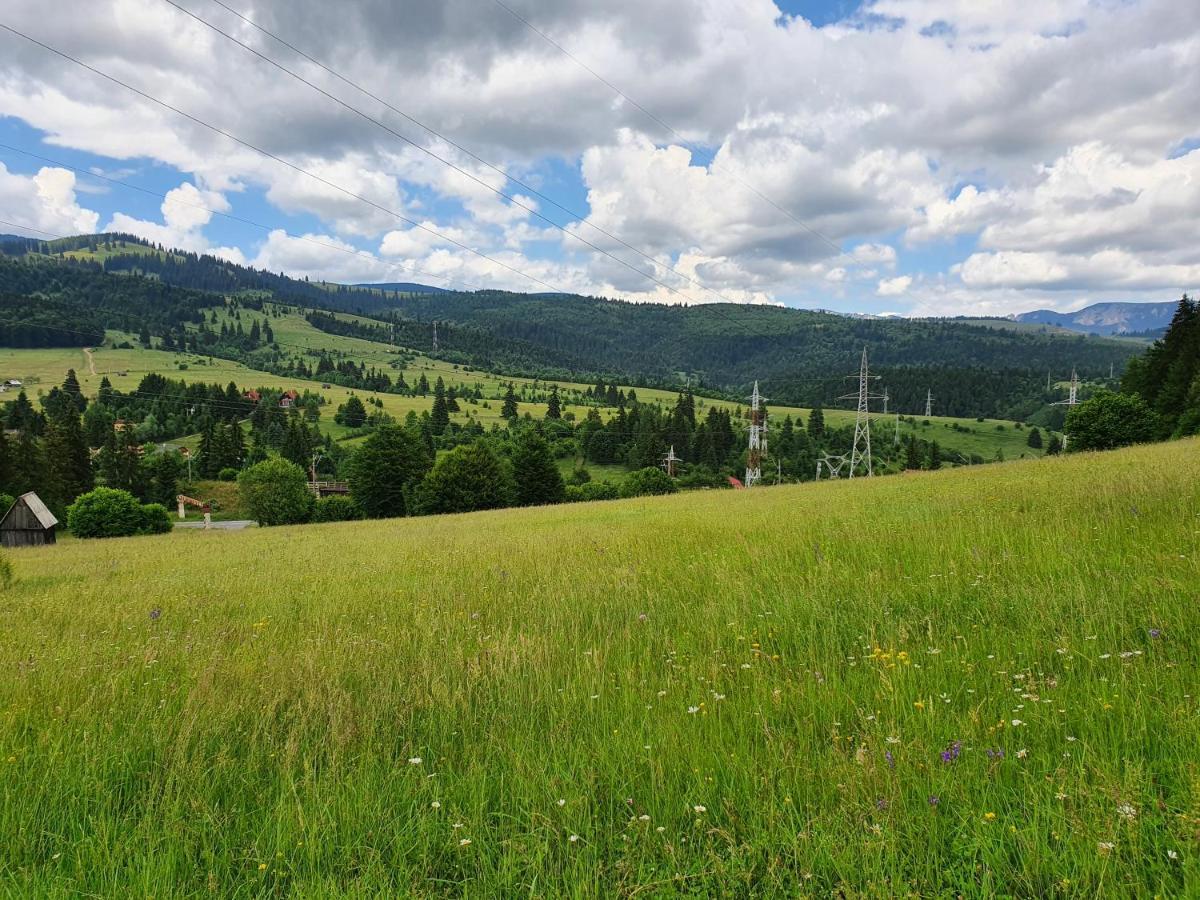 Pensiunea Maros Izvoru Muresului Exterior photo