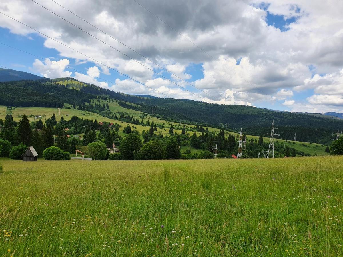 Pensiunea Maros Izvoru Muresului Exterior photo